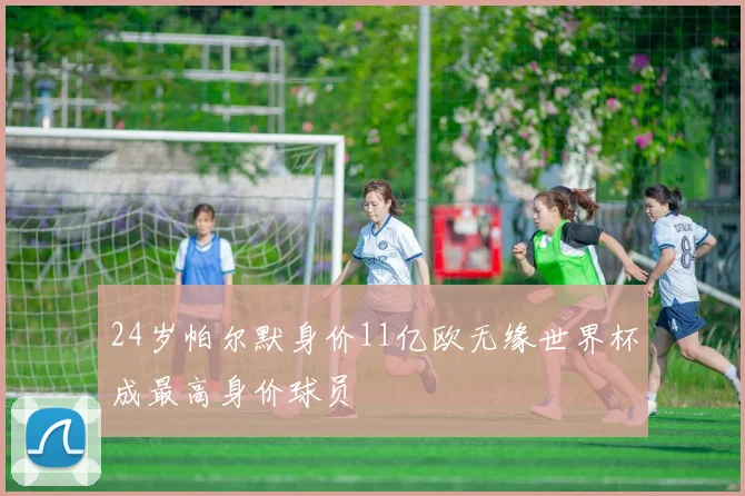 24岁帕尔默身价11亿欧无缘世界杯成最高身价球员